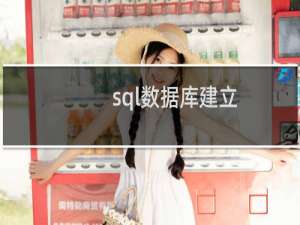 sql数据库建立