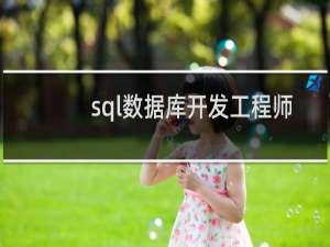 sql数据库开发工程师