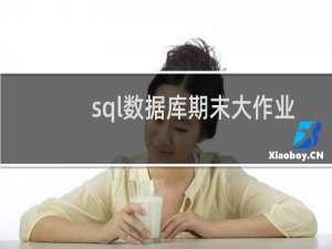 sql数据库期末大作业