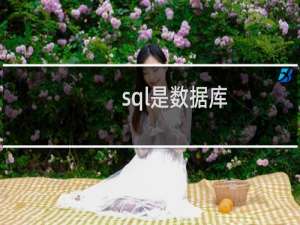 sql是数据库