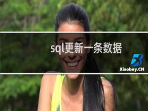 sql更新一条数据