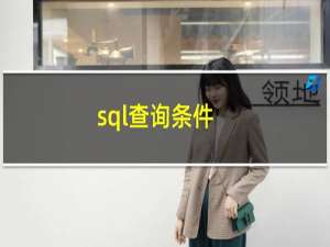 sql查询条件