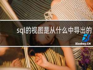 sql的视图是从什么中导出的