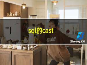 sql的cast