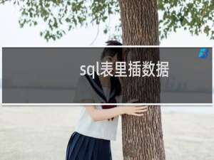 sql表里插数据