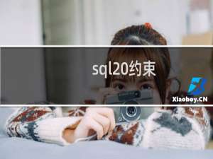 sql 约束