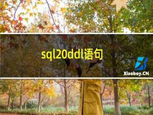 sql ddl语句