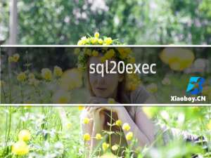 sql exec