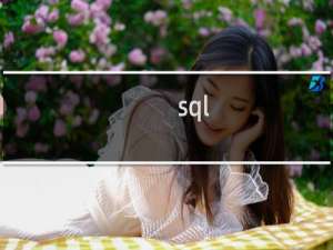 sql raiserror用法