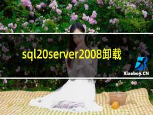sql server2008卸载