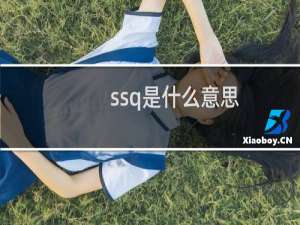 ssq是什么意思（ssq是什么的简称）什么梗