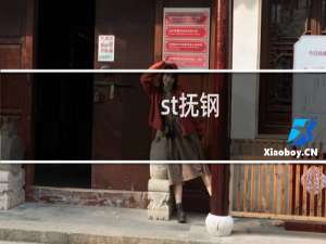 st抚钢（stfu）