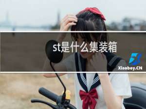 st是什么集装箱