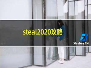 steal  攻略