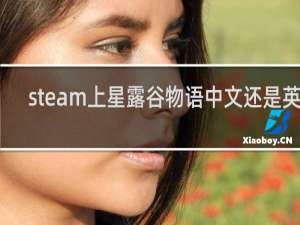 steam上星露谷物语中文还是英文