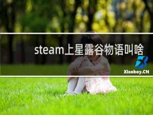 steam上星露谷物语叫啥
