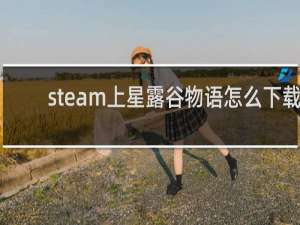 steam上星露谷物语怎么下载