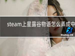steam上星露谷物语怎么弄成中文