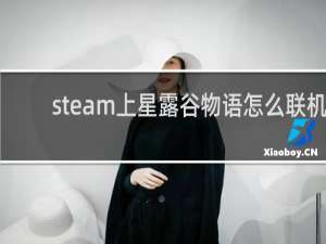 steam上星露谷物语怎么联机
