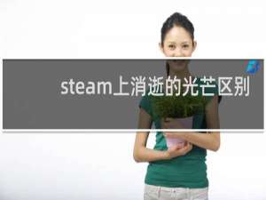 steam上消逝的光芒区别