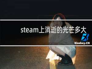 steam上消逝的光芒多大