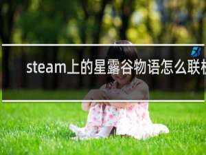 steam上的星露谷物语怎么联机