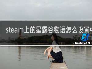 steam上的星露谷物语怎么设置中文