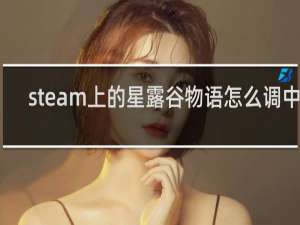 steam上的星露谷物语怎么调中文