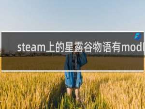 steam上的星露谷物语有mod吗