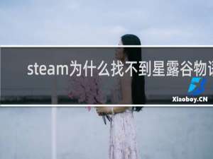 steam为什么找不到星露谷物语