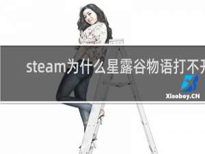 steam为什么星露谷物语打不开