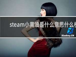 steam小黄油是什么意思什么梗