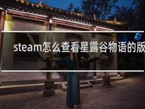 steam怎么查看星露谷物语的版本