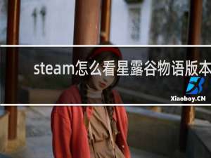 steam怎么看星露谷物语版本
