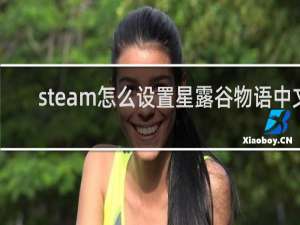 steam怎么设置星露谷物语中文