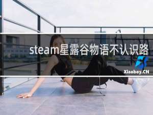 steam星露谷物语不认识路