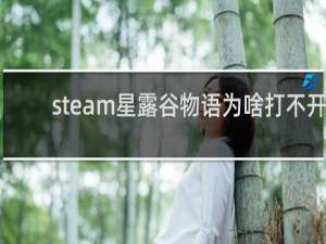 steam星露谷物语为啥打不开