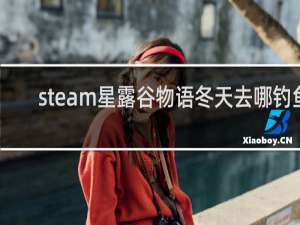 steam星露谷物语冬天去哪钓鱼