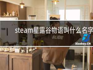 steam星露谷物语叫什么名字