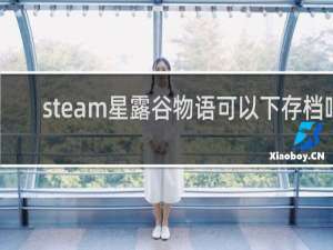 steam星露谷物语可以下存档吗