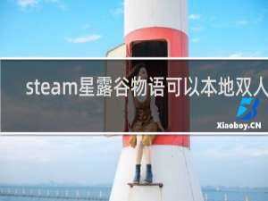 steam星露谷物语可以本地双人吗