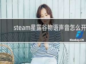 steam星露谷物语声音怎么开