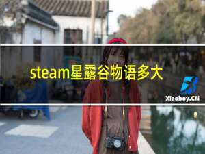 steam星露谷物语多大