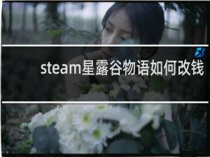 steam星露谷物语如何改钱
