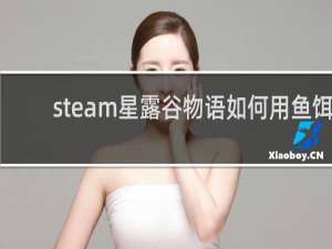 steam星露谷物语如何用鱼饵