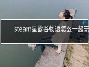 steam星露谷物语怎么一起玩