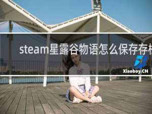 steam星露谷物语怎么保存存档