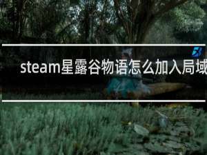 steam星露谷物语怎么加入局域网