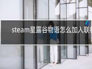 steam星露谷物语怎么加入联机