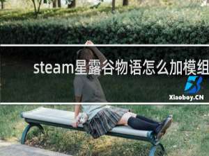 steam星露谷物语怎么加模组